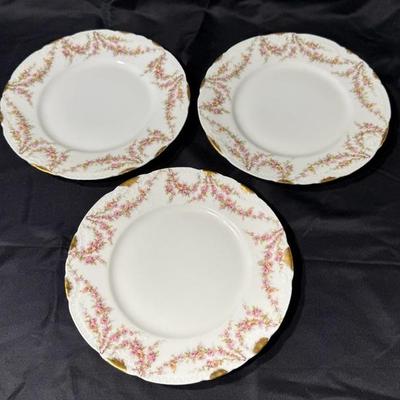 Theodore Haviland Simajeo France China Set