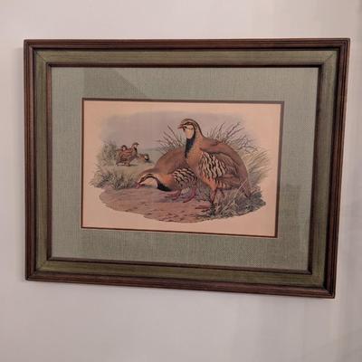 Approx 27 1/2" x 21 1/2" Framed 1970's Quail Print