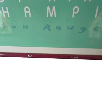 Vintage 1989 Hot Air Balloon championship wall decor