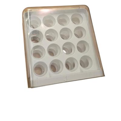 Plastic Egg Storage
