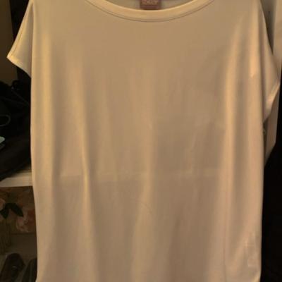 Lot of 8 Women's Petite Size Small Dress Shirts – Elegant and Versatile