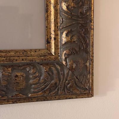 Two Framed Pine Cone Prints (LR-DZ)