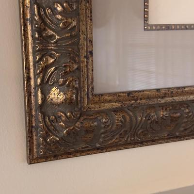 Two Framed Pine Cone Prints (LR-DZ)