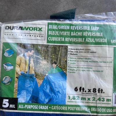 2 TARPS