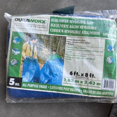 2 TARPS