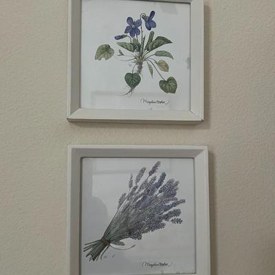 5 Pictures