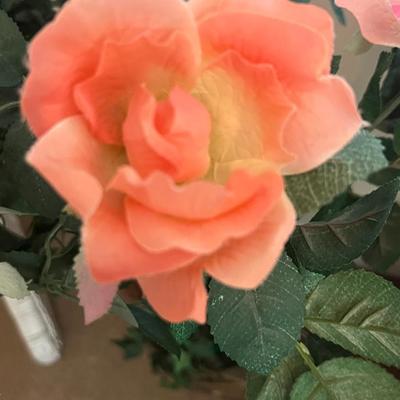 Rose Bush Flower Arrangement