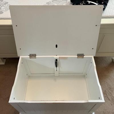 White Trunk/Bench