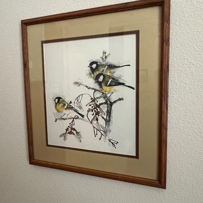 3 Bird Pictures