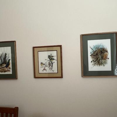 3 Bird Pictures
