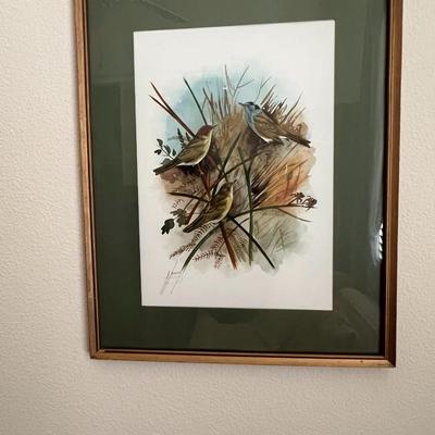 3 Bird Pictures