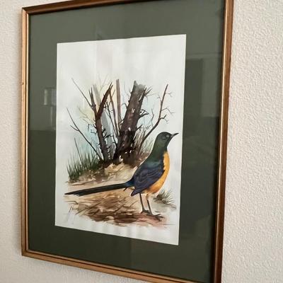 3 Bird Pictures