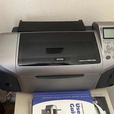 Epson Stylus Photo R300 Printer