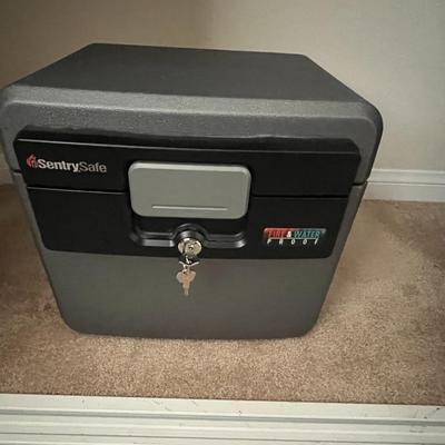 Sentry Fire & Water Proof Safe