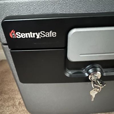 Sentry Fire & Water Proof Safe