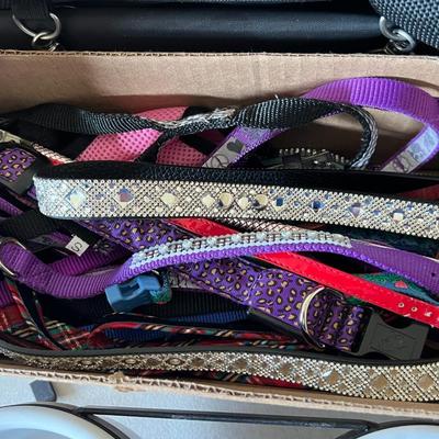 Dog collars, leashes and bowls