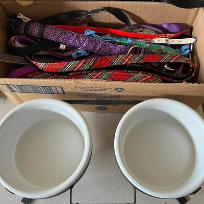 Dog collars, leashes and bowls