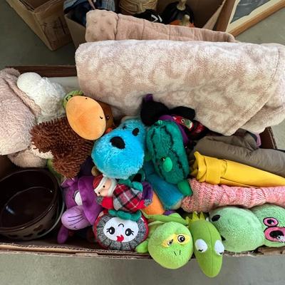 Box dog toys/blankets