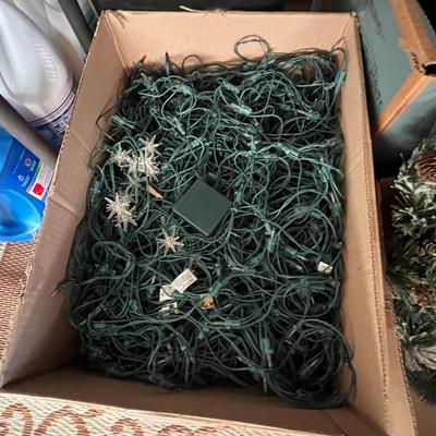 Box Christmas lights