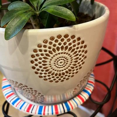 Potted plant and stand