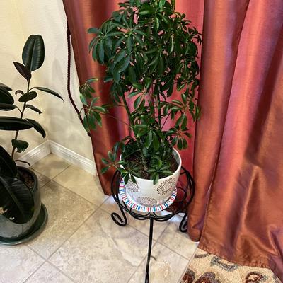 Potted plant and stand