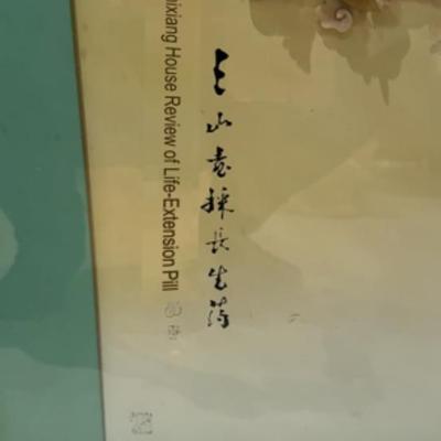 Longevity Artwork