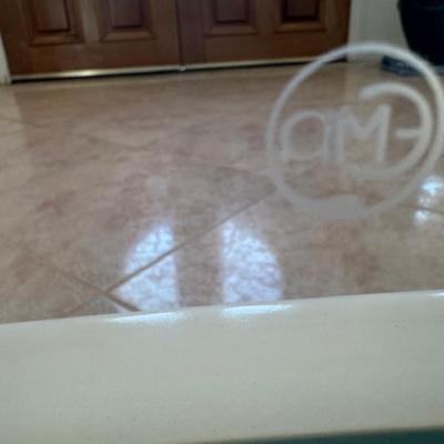 Glass Divider with Etched Fish