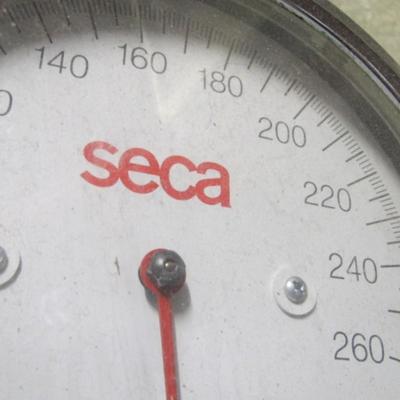 Vintage Seca Scale