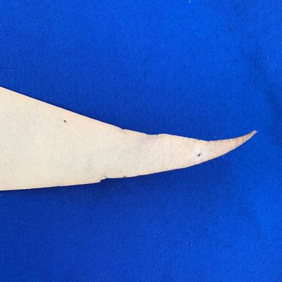 Vintage Baltimore Pennants Orioles & Colts