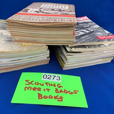 Huge Lot 1940s-1970s Boy Scouts Merit Badge