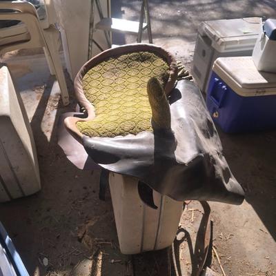 Saddle