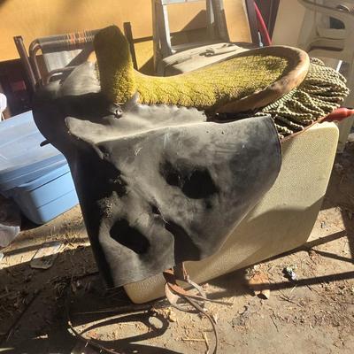 Saddle