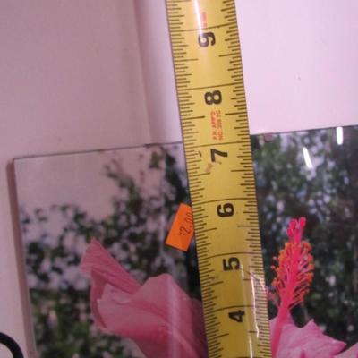 7" x 9 3/4" Unframed Flower Prints Under Glass