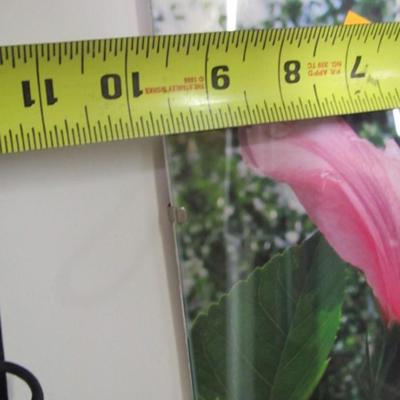 7" x 9 3/4" Unframed Flower Prints Under Glass
