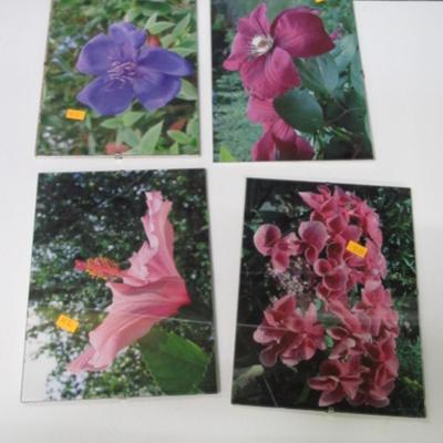 7" x 9 3/4" Unframed Flower Prints Under Glass