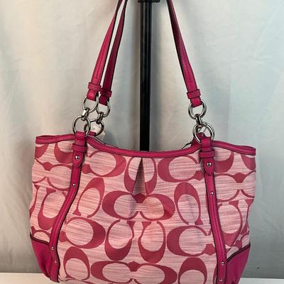 Lot G 261 NWT Coach Alexandra Chain Link Shangtun Tote Bag with Matching Wallet