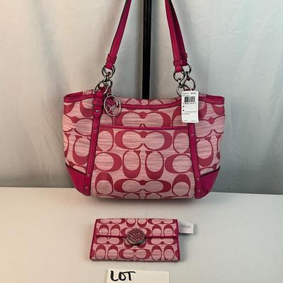 Lot G 261 NWT Coach Alexandra Chain Link Shangtun Tote Bag with Matching Wallet