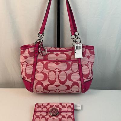 Lot G 261 NWT Coach Alexandra Chain Link Shangtun Tote Bag with Matching Wallet