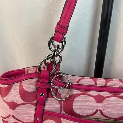 Lot G 261 NWT Coach Alexandra Chain Link Shangtun Tote Bag with Matching Wallet