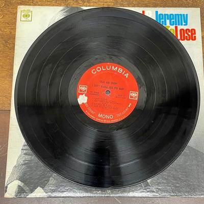 Vintage 33RPM Vinyl Album: Chad and Jeremy "I Don't Want to Lose You Baby"