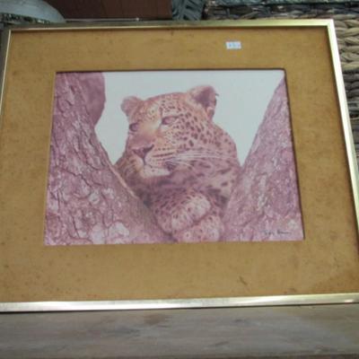 Approx 19" x 17" Framed Leopard Signed Art