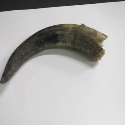 Vintage Animal Horn
