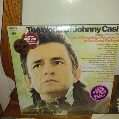 Collection of Vinyl Records