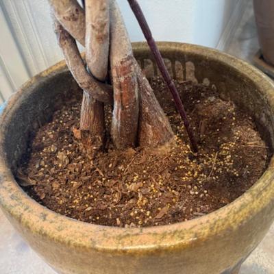 Pot with Faux Pink Plant