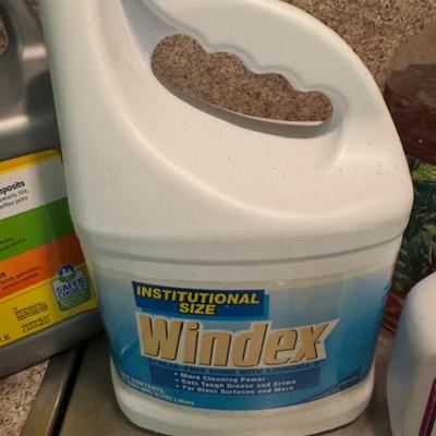 Cleaning Products