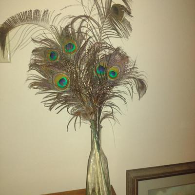 Collection of Peacock Feathers with Glass Bottle Vase