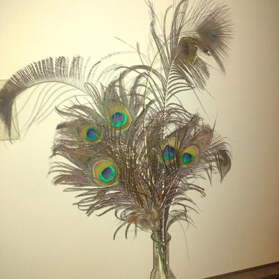 Collection of Peacock Feathers with Glass Bottle Vase