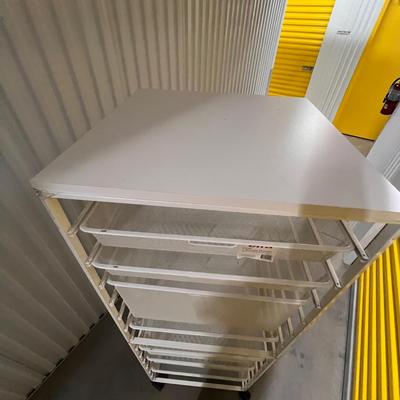 Elfa 1-Runner Drawer & Smaller Pink Unit (1018B-RG)