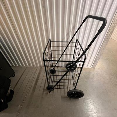 Coleman, Addidas & Away Luggage & Travel Accessories (1018B-RG)