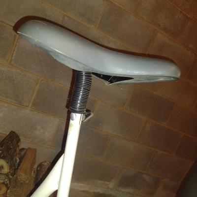 Vitamaster AIRwavesII Stationary Bicycle with Adjustable Seat